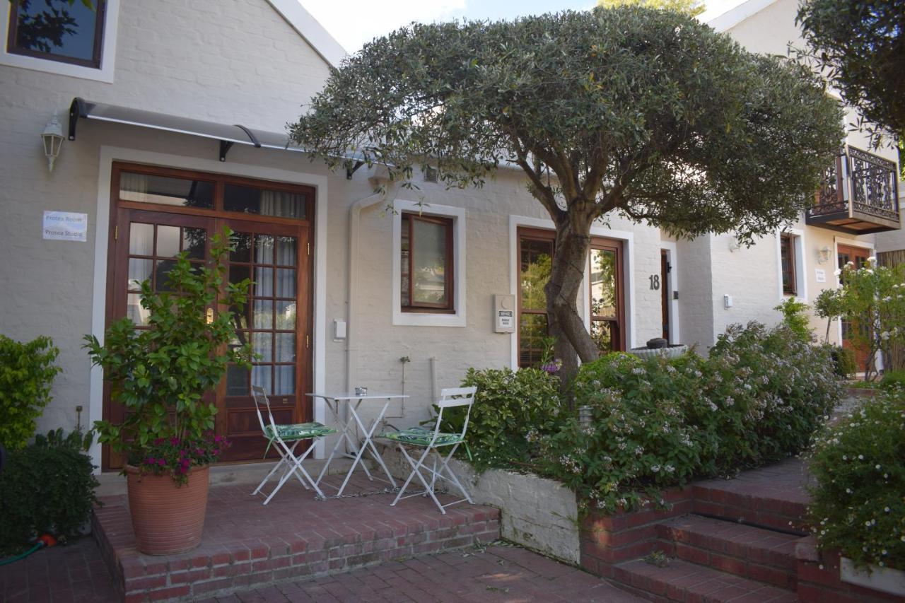 Protea Studio Franschhoek Central Exteriér fotografie
