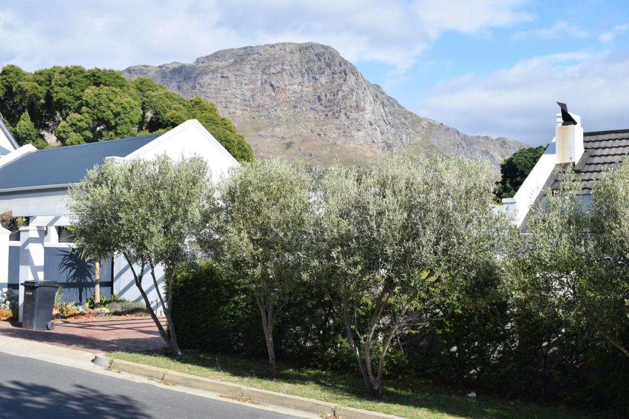 Protea Studio Franschhoek Central Exteriér fotografie